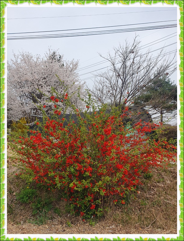 KakaoTalk_20230404_123007310_02.jpg 1794630402_1680592541.1026.jpg