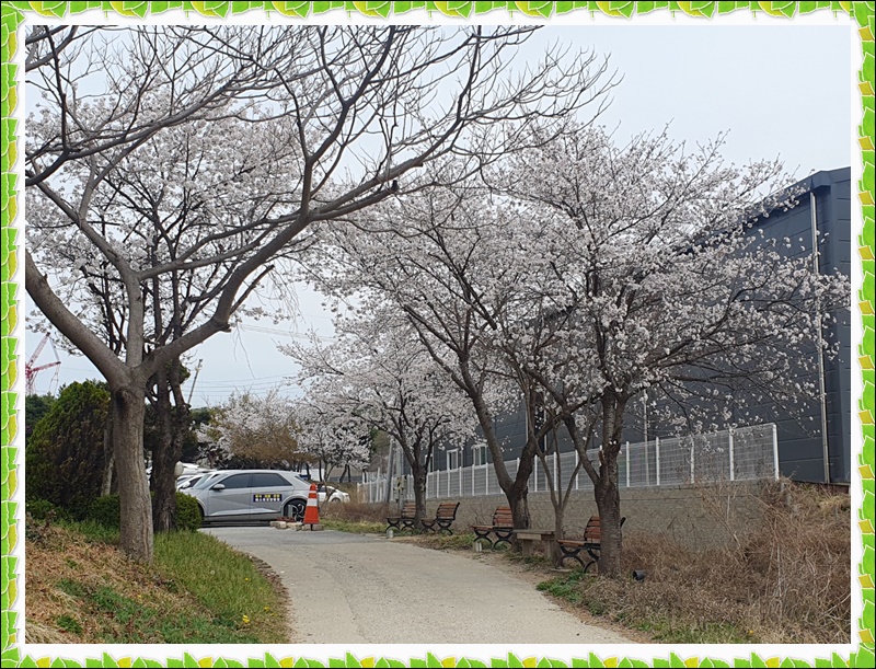 KakaoTalk_20230404_123007310_06.jpg 1794630402_1680592542.0142.jpg