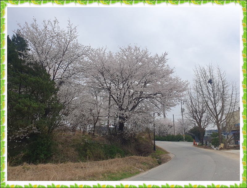 KakaoTalk_20230404_123007310_03.jpg 1794630402_1680592544.083.jpg