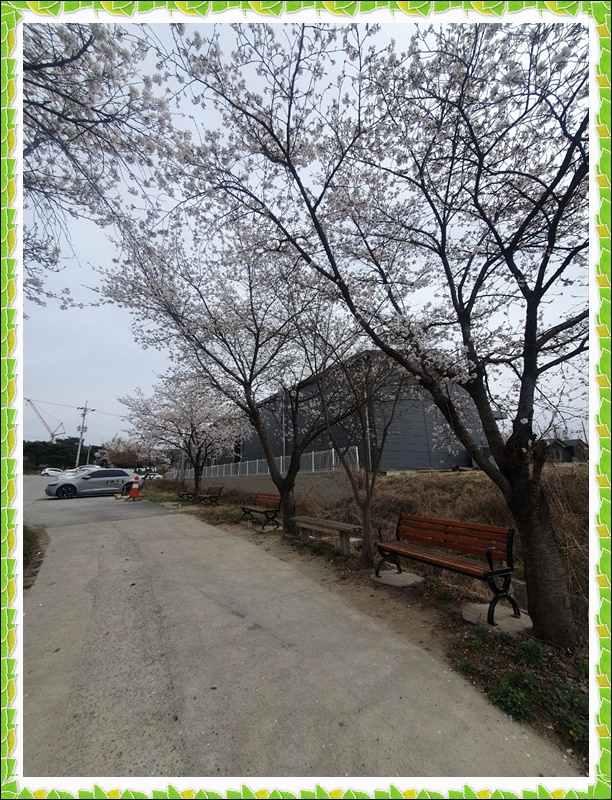 KakaoTalk_20230404_123007310_04.jpg 1794630402_1680592545.0111.jpg